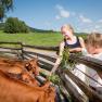 Angus cattle, organic farm Prannleithen, &copy; Waldviertel Tourismus, ishootpeople.at