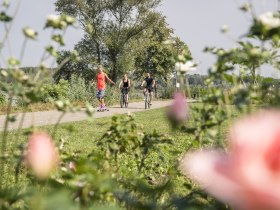 Donaul&auml;nde Tulln, &copy; Radfahrer auf der Donaul&auml;nde in Tulln