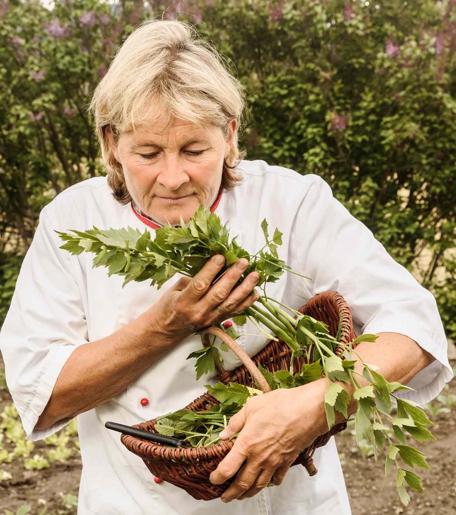 Person im Garten mit frischen Kräutern in einem Korb.