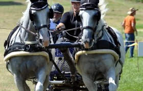 Geländeprüfung, © Sonja Bauer