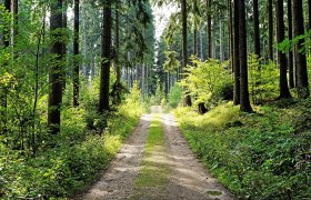 Steinpyramide-Weg, © Gottfried Braun