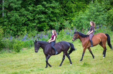 Reiten im Waldviertel, © Castenoid, Fotolia.com