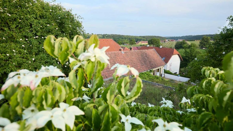 Ausblick, © Rupert Pessl