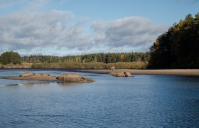 Ein Teich, umgeben von Wald und Felsen im Wasser.