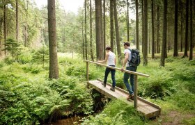 Zwei Personen wandern über eine kleine Holzbrücke in einem dichten Wald.