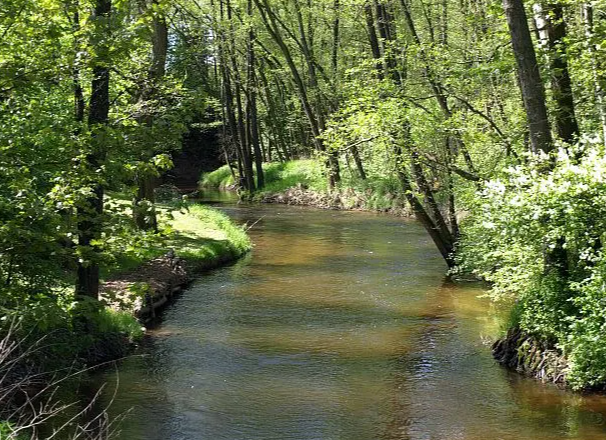 Angeln - Lainsitz - Revier II/1, &copy; Stadtgemeinde Gm&uuml;nd