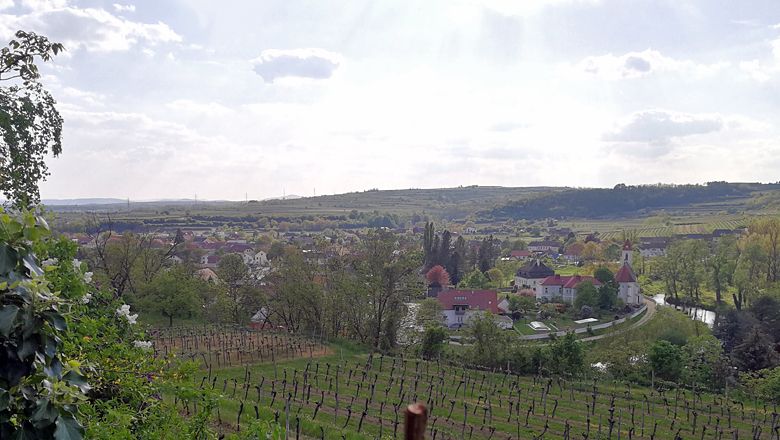 Blick auf Zöbing mit Weinbergen und Kirche im Vordergrund.