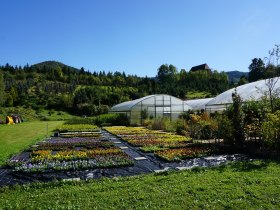 G&auml;rtnerei Weitzenb&ouml;ck mit St. Anna Kirche, &copy; Unknown