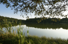 Himmelteich bei Ottenschlag, © Matthias Schickhofer