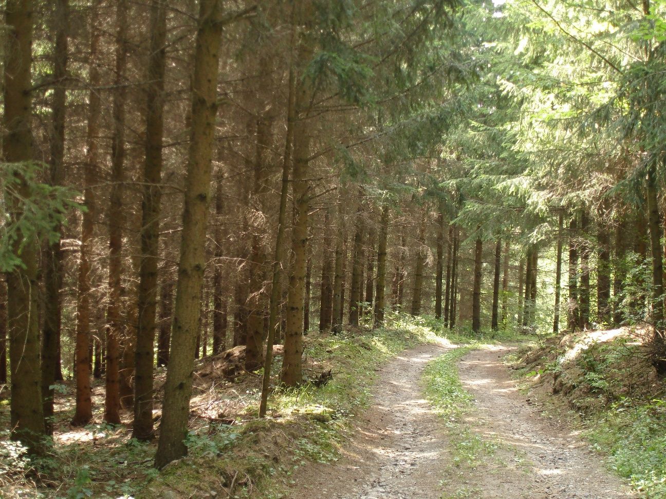 Holzhackerweg