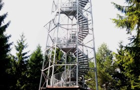 Ein hoher Aussichtsturm aus Metall mit Wendeltreppe im Wald.