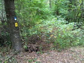 Wanderweg Nr. 33, Natur, &copy; Stadtgemeinde Allentsteig