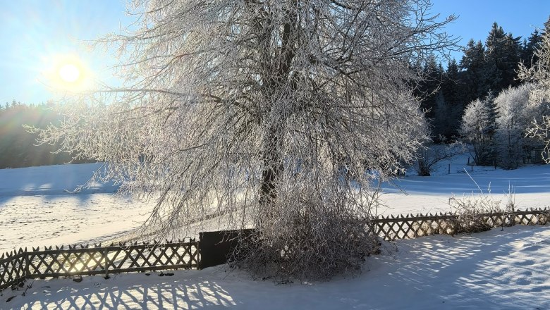 The magical world in Langschlag 22, © Starkl Thomas