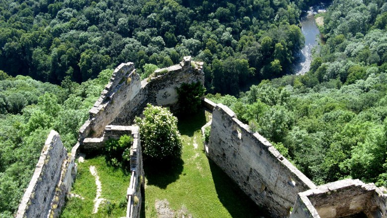 Ausblick vom Bergfried Ruine Schauenstein auf Umlaufberg &amp; Kamp, © Marktgemeinde Pölla