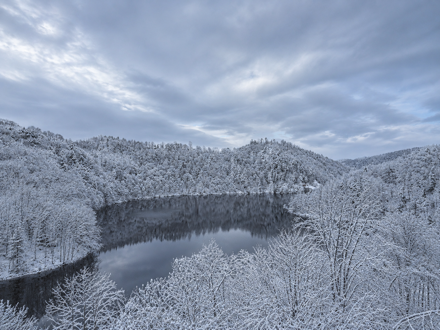 Winterlicher Blick auf den Dobrastausee mit verschneiten Bäumen, ruhigem Wasser und bewölktem Himmel.