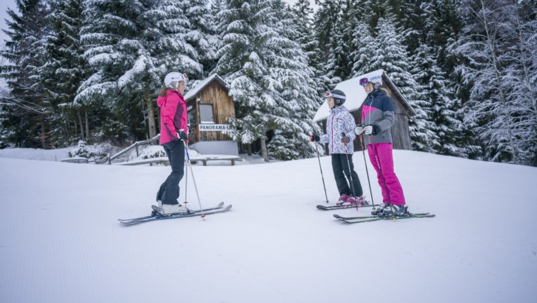 Skifahren in Harmannschlag, © Waldviertel Tourismus, Robert Herbst