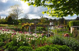 Ein blühender Garten mit Tulpen und Narzissen, umgeben von Bäumen und Sträuchern, unter einem bewölkten Himmel.