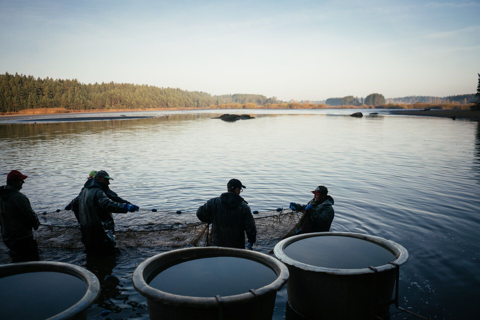 In den ruhigen Gewässern des Waldviertels ziehen Fischer mit ihren Netzen Karpfen aus dem Wasser. Die sanfte Morgenstimmung und die umgebende Natur schaffen eine friedliche Atmosphäre, die zum Verweilen einlädt. Hier wird die Tradition des Abfischens lebendig und verbindet Mensch und Natur auf harmonische Weise.