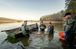 Ein fröhliches Team von Fischern steht am Ufer eines malerischen Teiches, umgeben von der ruhigen Natur. Die Sonne strahlt auf das Wasser und lässt die Fische im Netz glitzern, während die frische Luft den Duft von Abenteuer und Gemeinschaft verbreitet.