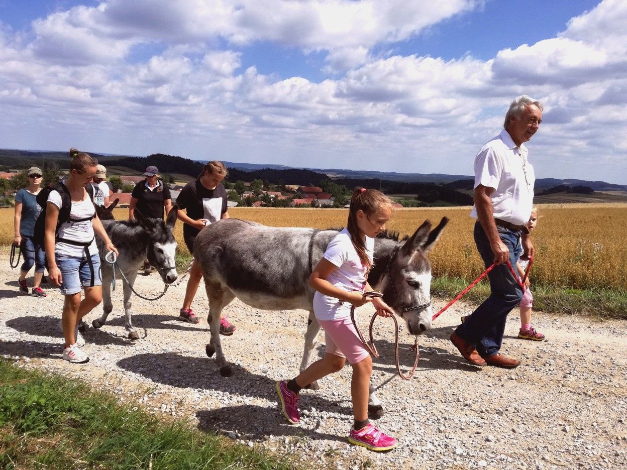 Gruppe von Menschen wandert mit Eseln auf einem Feldweg bei sonnigem Wetter.