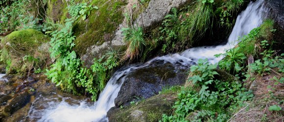 Loseneggerklamm in St. Oswald, © Christian Wurzer