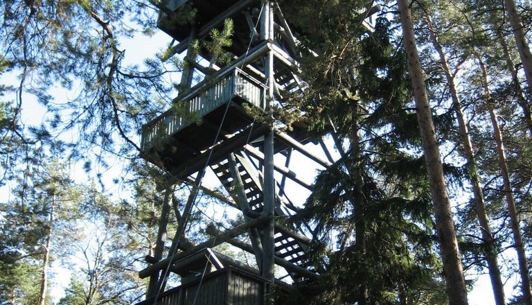Nordwaldturm am Schwarzenberg, © Naturpark Nordwald