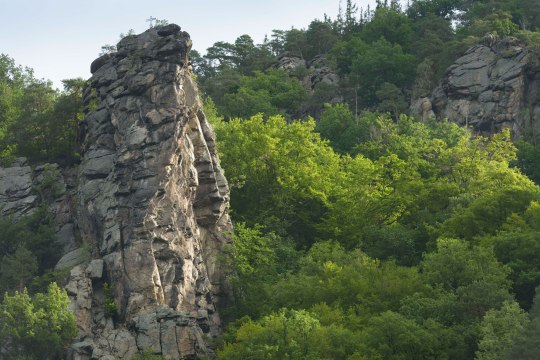 Heimliches Gericht, © Waldviertel Tourismus, Matthias Schickhofer