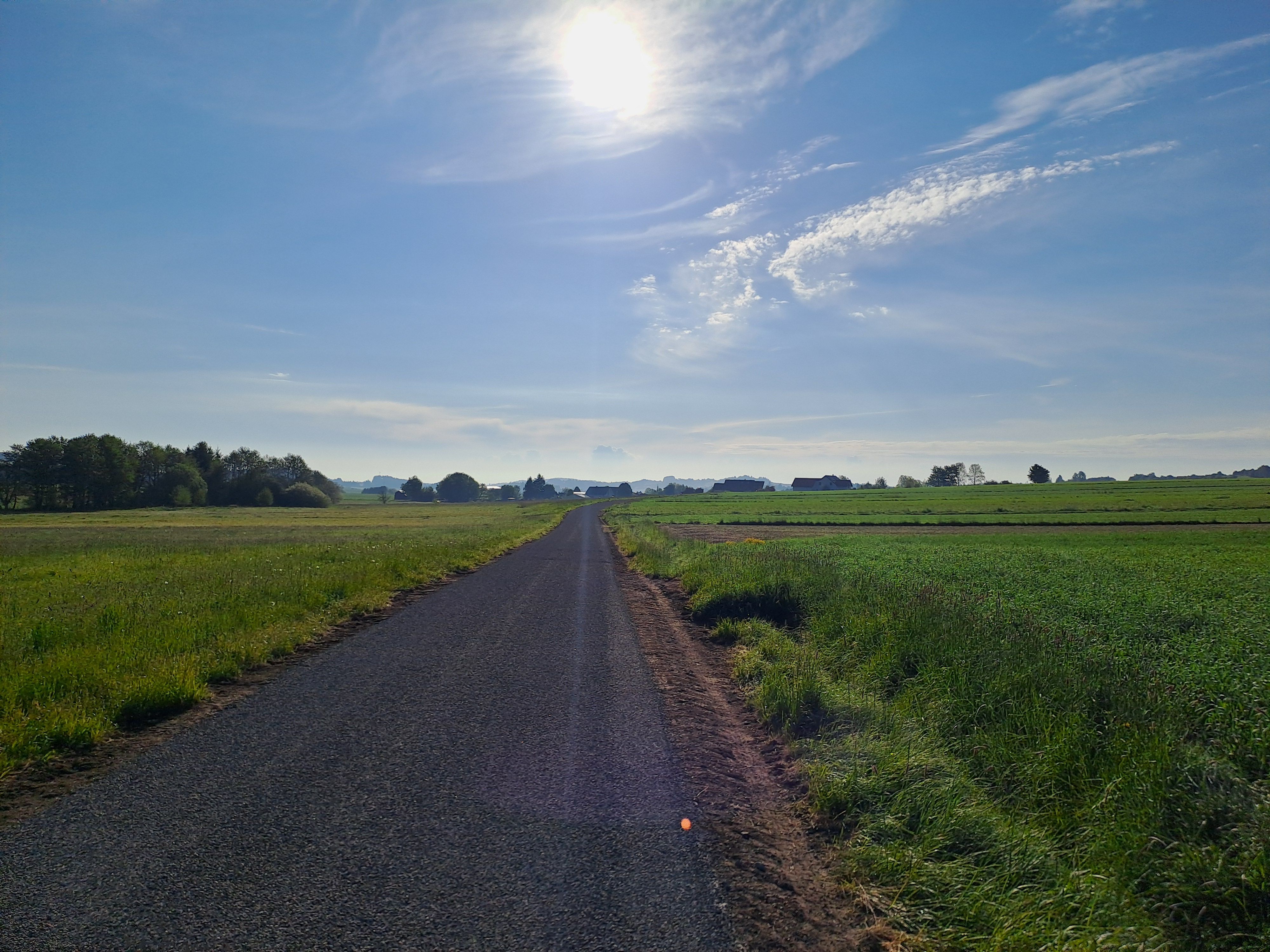 Asphaltierter Weg neben grünen Wiesen und Feldern