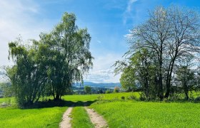 Weitra, © Dr. Markus Peham