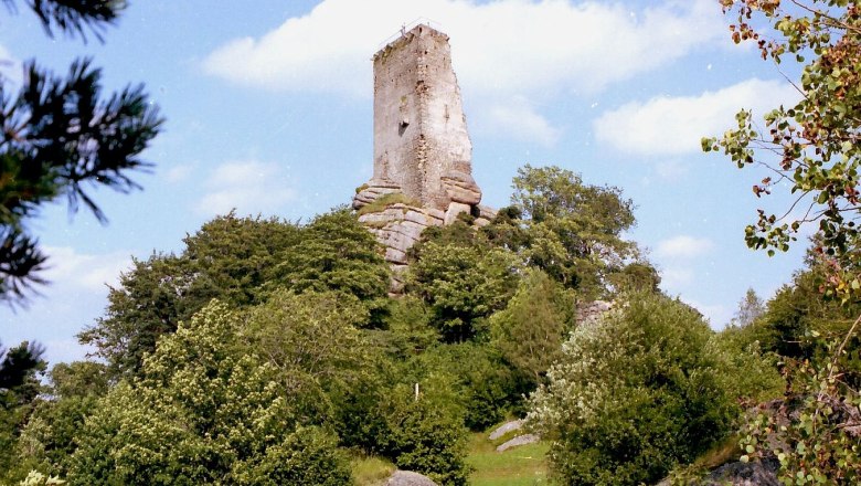 Ruine Arbesbach auf einem bewaldeten Hügel unter blauem Himmel.