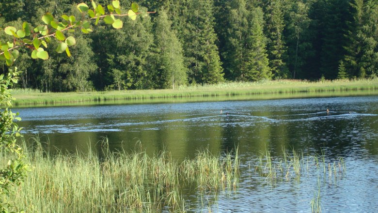 Stierhübelteich, © Manfred Grill