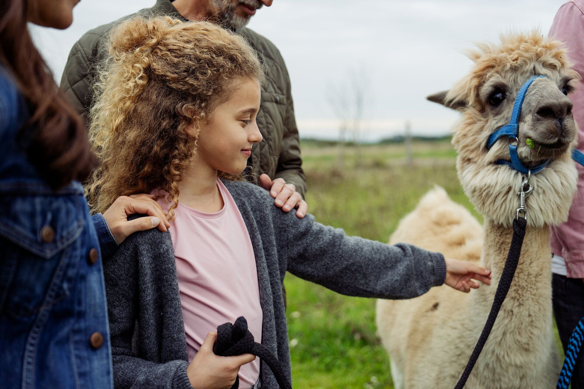 Ein fröhliches Mädchen streichelt sanft ein Alpaka, während ihre Familie um sie herum steht und die entspannte Atmosphäre genießt. Die sanften Farben der Natur und die neugierigen Tiere schaffen eine harmonische Verbindung, die den Besuchern unvergessliche Momente beschert.