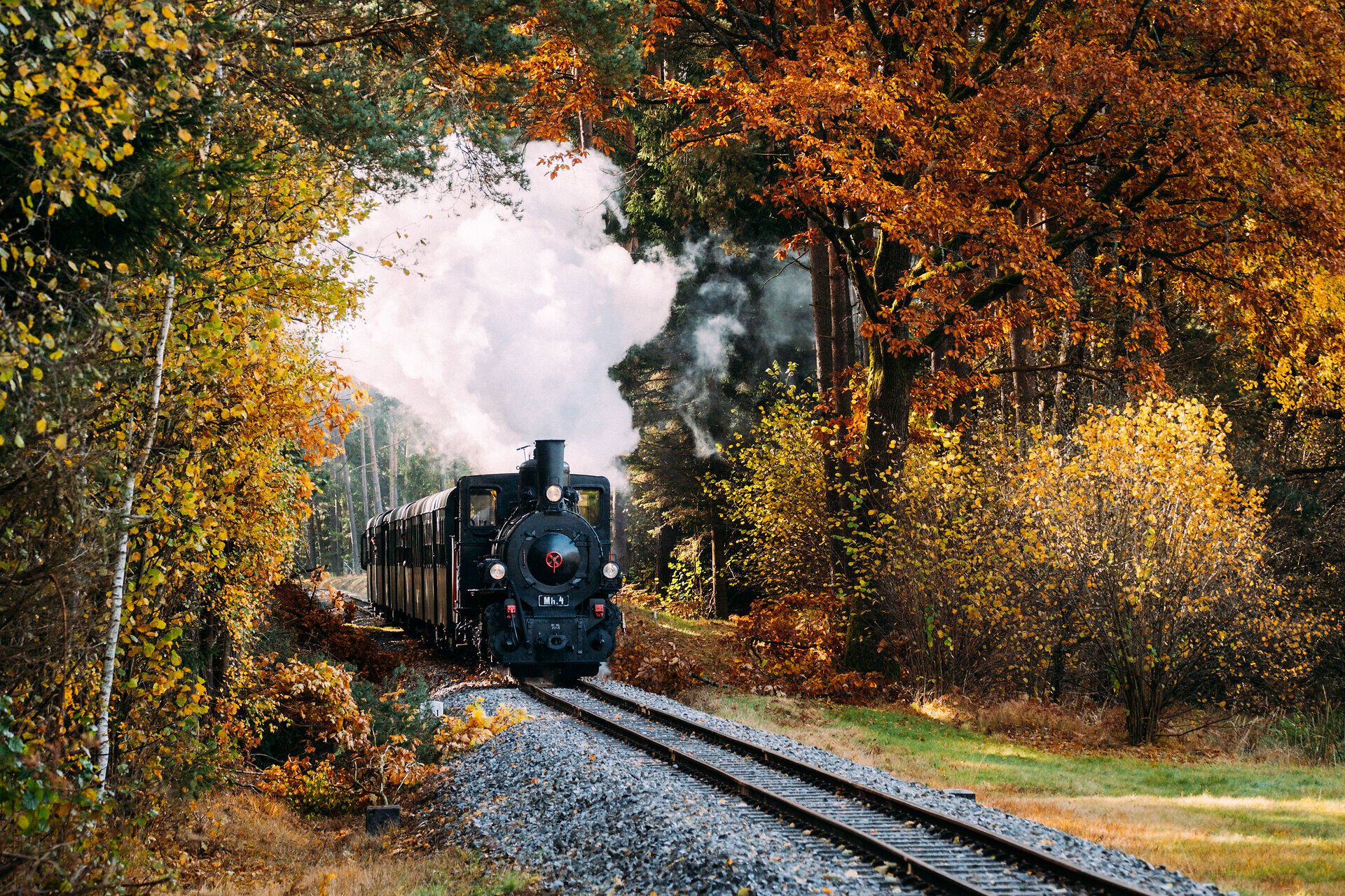 Schmalspurbahn mit Dampflock fährt durch herbstlichen Wald
