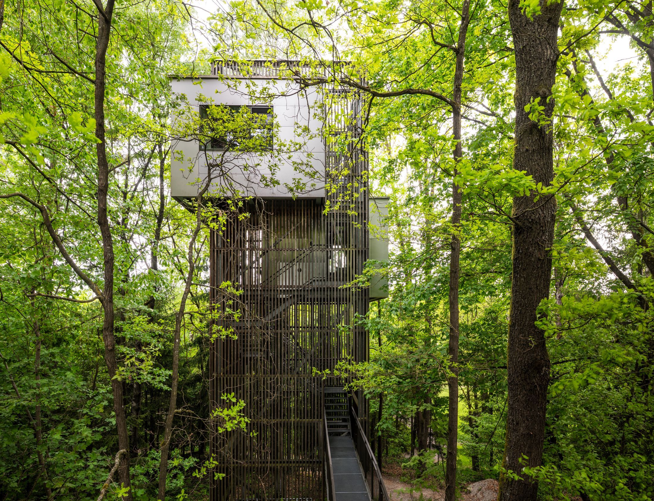 Modernes Baumhaus im Wald mit Metalltreppe und grüner Umgebung.