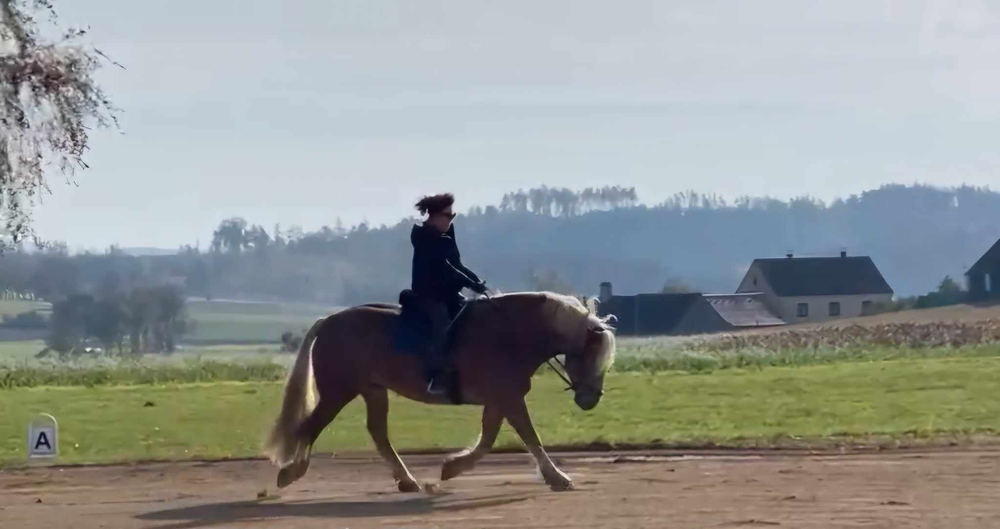 Eine Person reitet auf einem braunen Pferd auf einem Reitplatz mit ländlicher Kulisse im Hintergrund.
