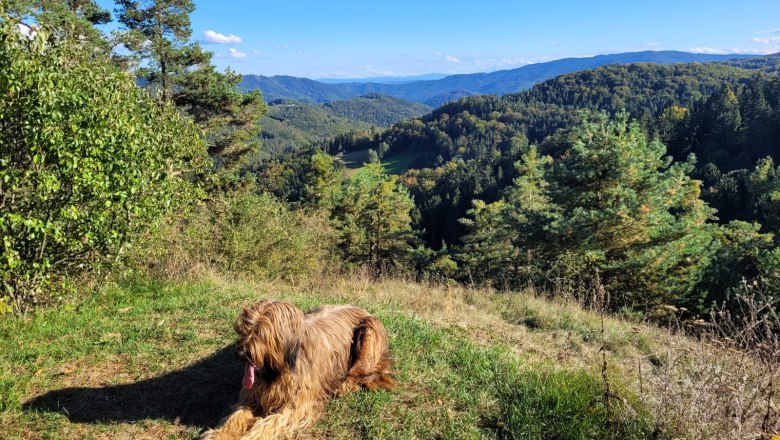 Von der kleinen Runde bis zum Weitwanderweg ist alles dabei!, © U.E.