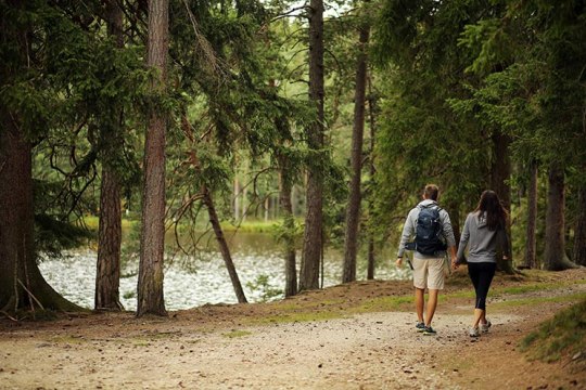 Spaziergang durch den Wald, © Waldviertel Tourismus, weinfranz