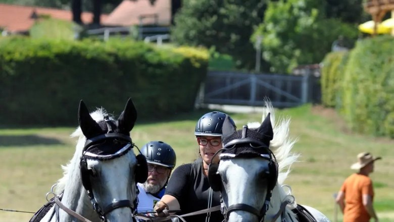 Kutsche bei den Linden, © Sonja Högler