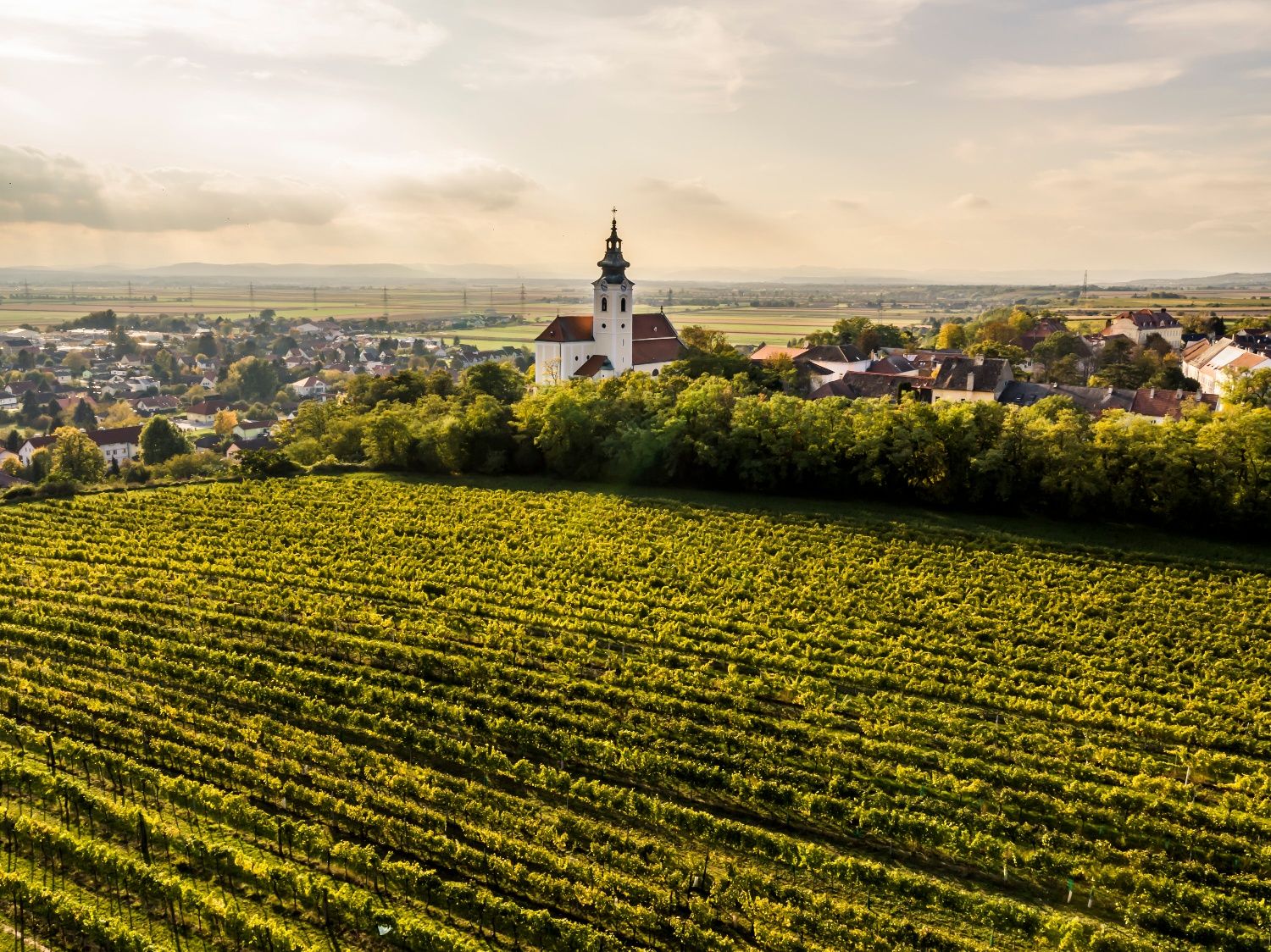 Landschaftsansicht von Kirchberg am Wagram mit Kirche und Weinbergen im Vordergrund.