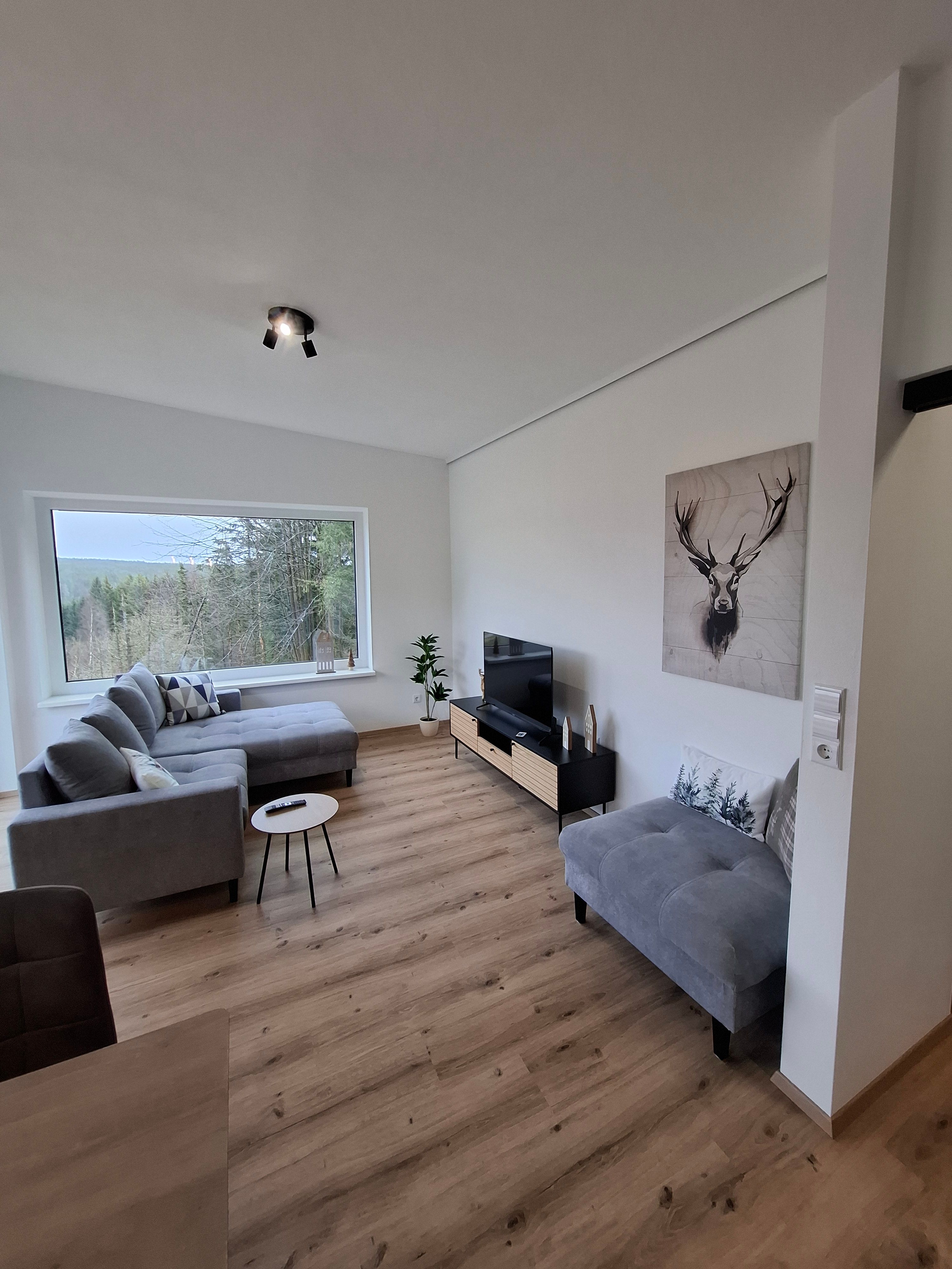 Wohnbereich mit Smart TV
