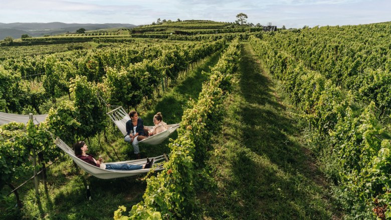 WEINWEG Langenlois, © Niederösterreich Werbung/Julius Hirtzberger