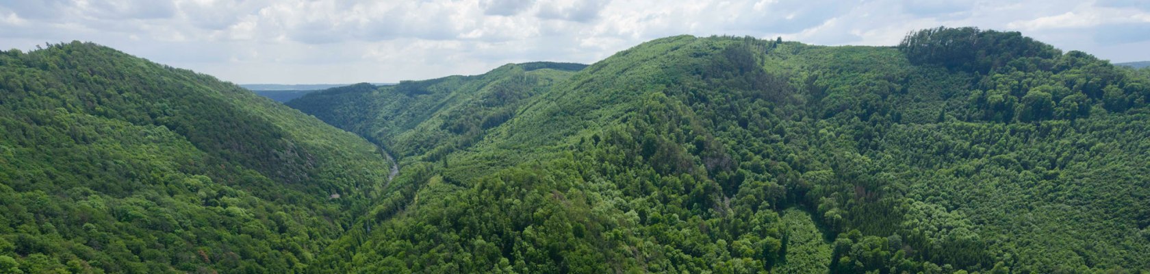 Kamptalblick von der Ruine Schauenstein, © Waldviertel Tourismus, Matthias Schickhofer