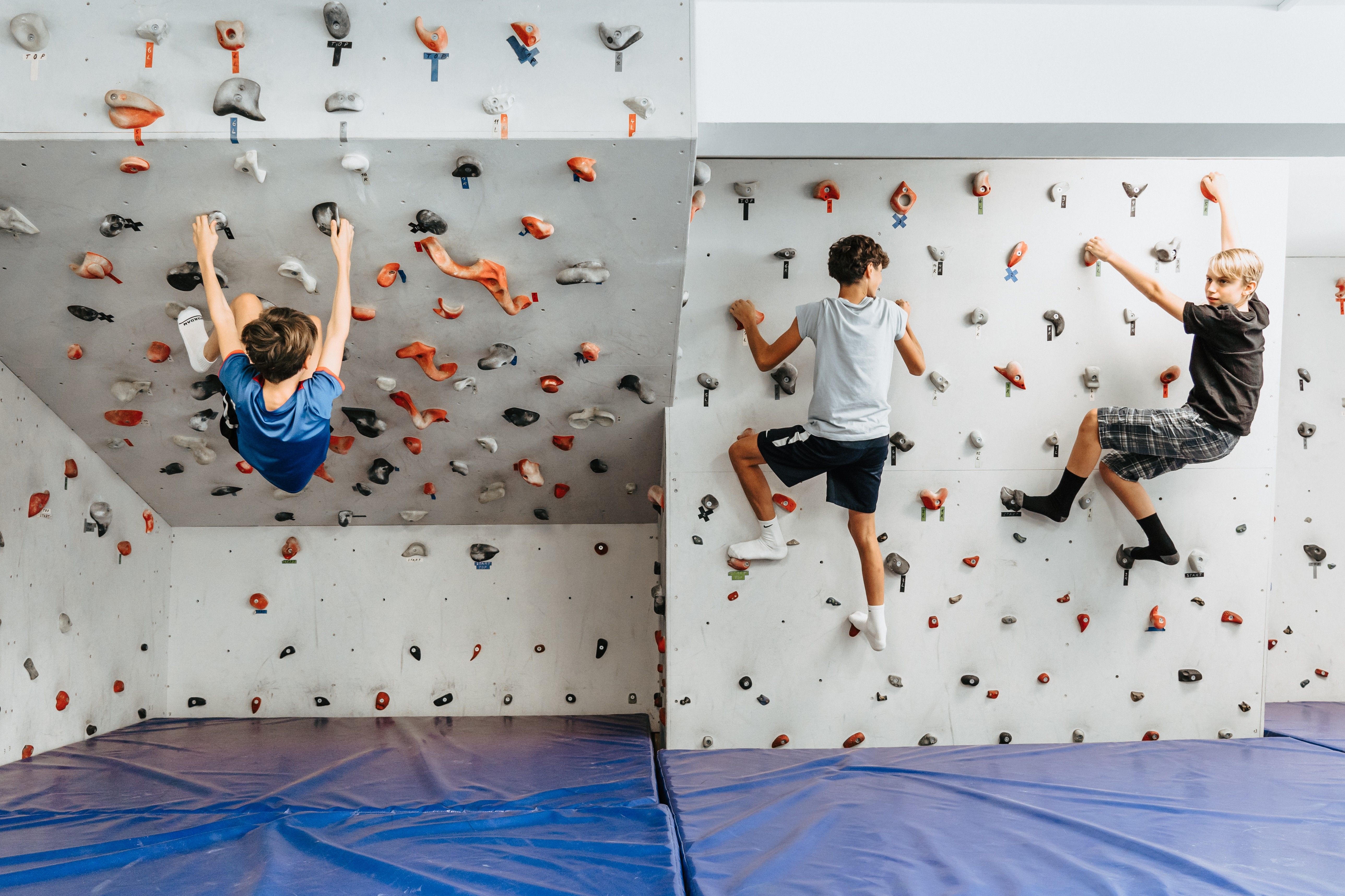 Drei Kinder klettern an einer Indoor-Kletterwand mit bunten Griffen.