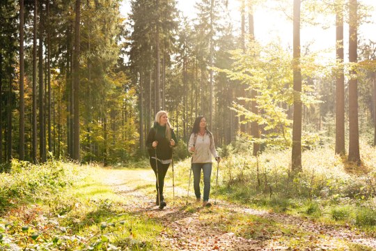 Wandern am Lebensweg, © Lebensweg, Studio Kerschbaum