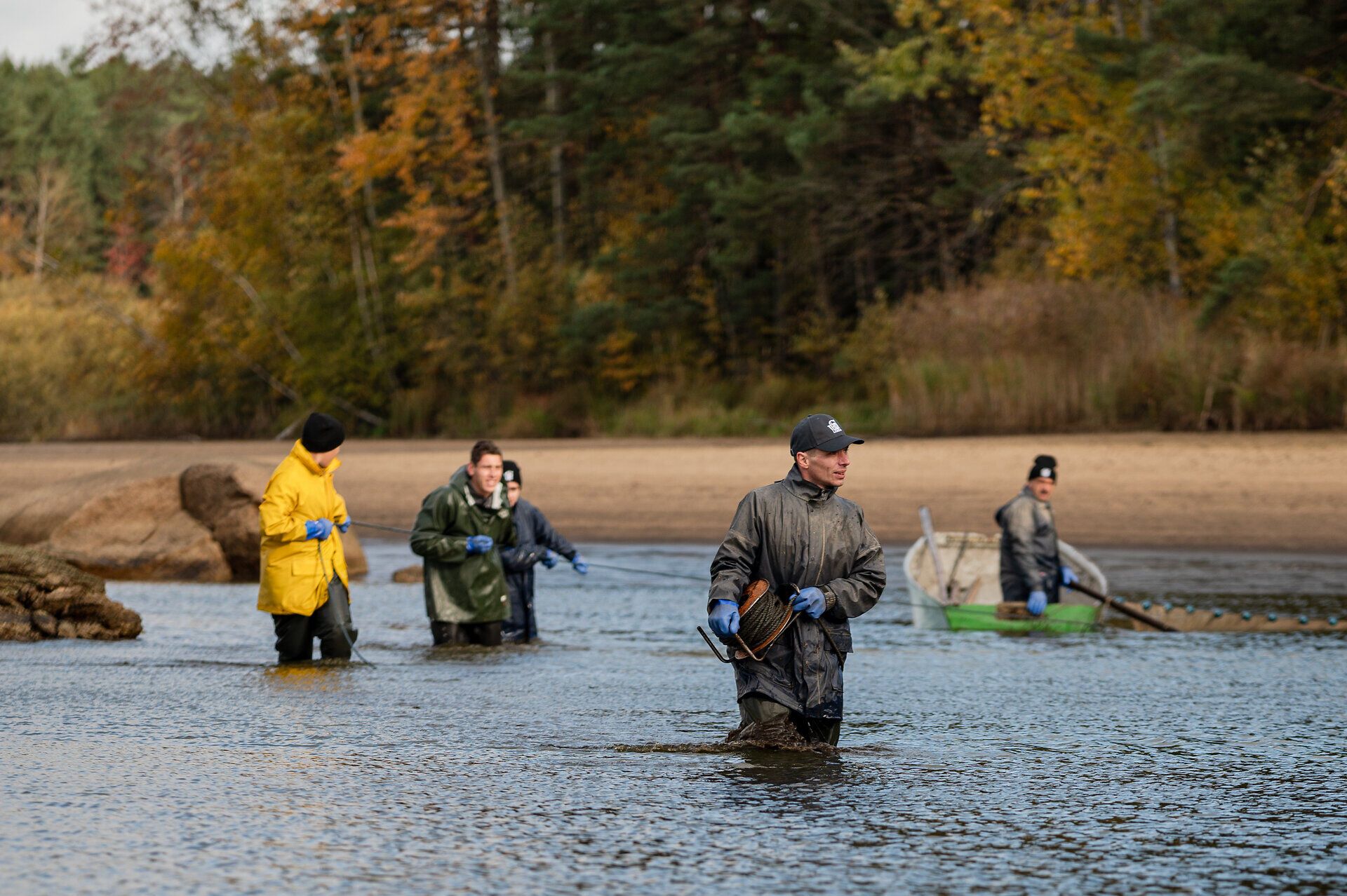 In der sanften Morgenstimmung des Bruneiteichs ziehen die Teilnehmer mit ihren Netzen durch das glitzernde Wasser, während die bunten Blätter der Bäume im Hintergrund leuchten. Die frische Luft ist erfüllt von der Vorfreude auf das traditionelle Abfischen, das nicht nur die Fische, sondern auch die Gemeinschaft zusammenbringt. Ein unvergessliches Erlebnis für alle, die die Natur und die Traditionen der Region schätzen.