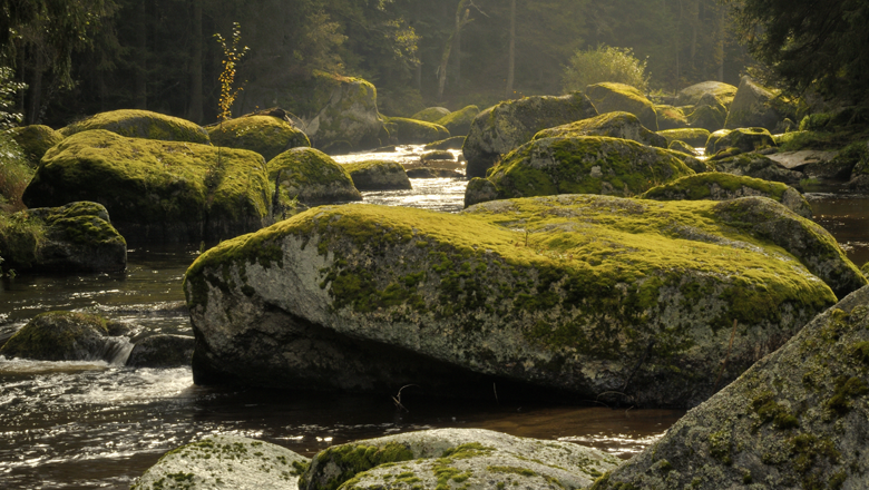 Kamptal zwischen Zwettl und Roiten, © Matthias Schickhofer