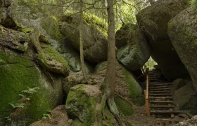 Felsformation mit moosbewachsenen Steinen und B&auml;umen, Holztreppe f&uuml;hrt durch die Felsen.