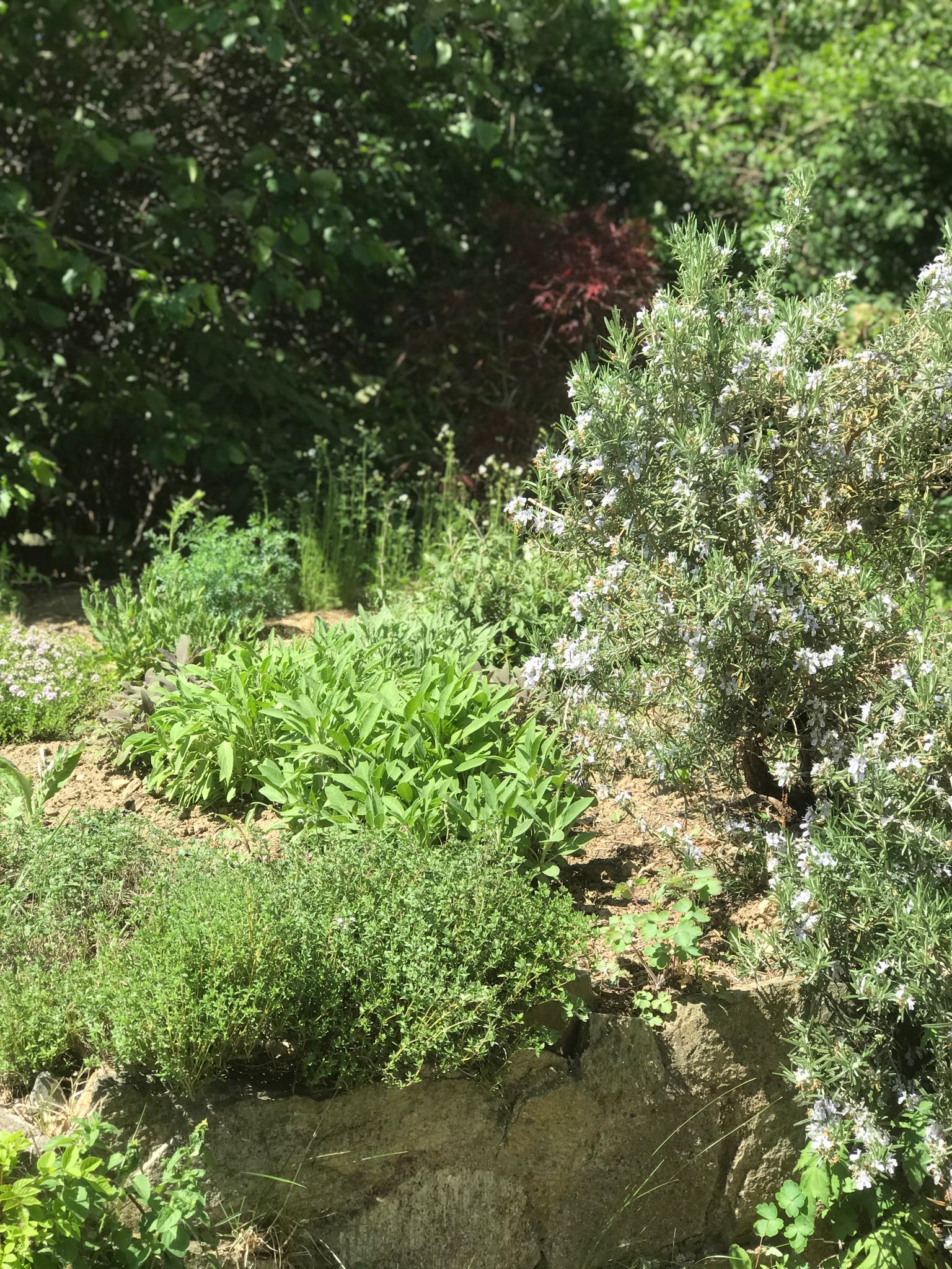 GARTEN
