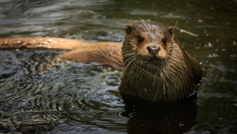 UnterWasserReich Schrems, © Alexander Aigner