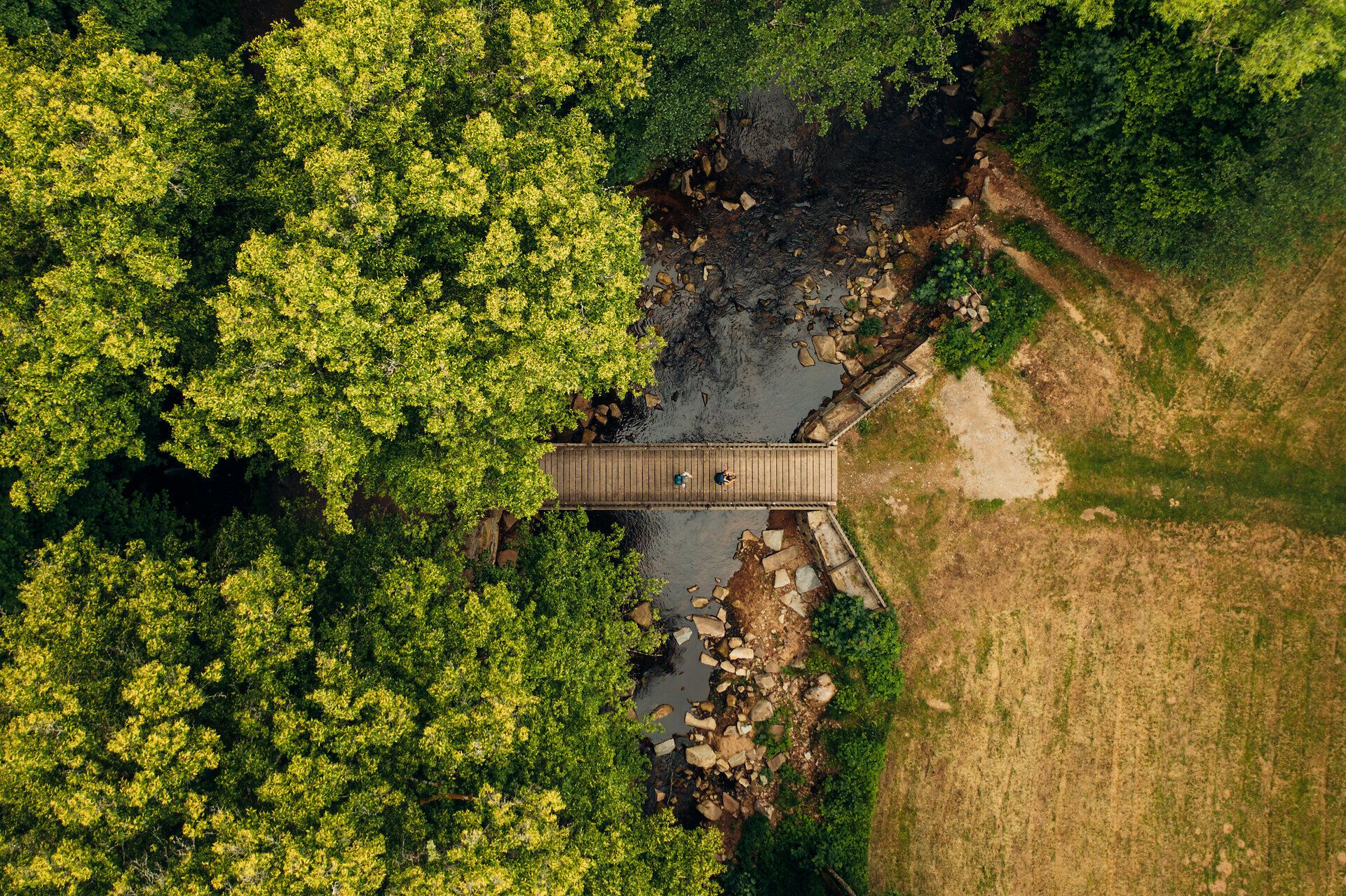 Zwei Personen kommen aus einem Waldstück und gehen über eine Brücke zu einer Wiese